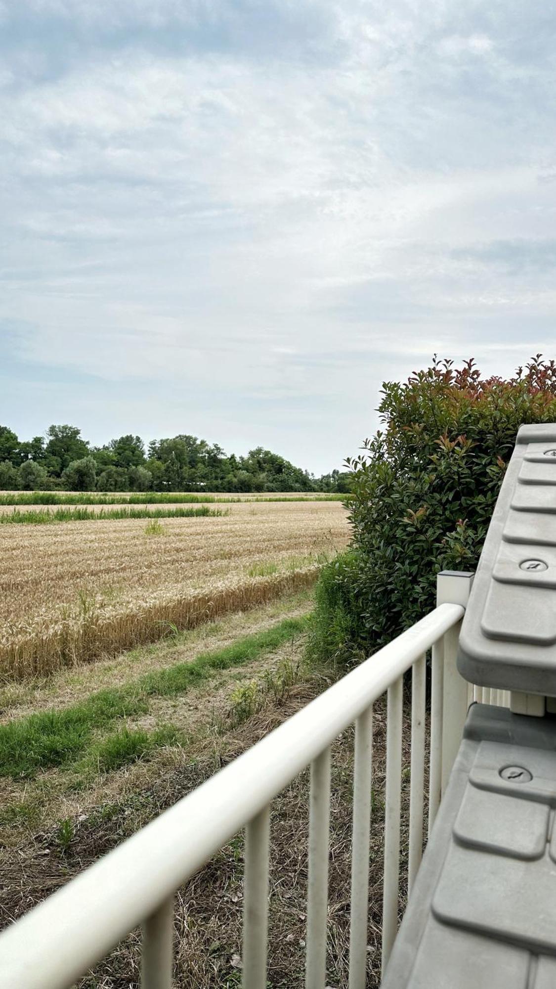 Parisi Bnb - Venezia Aeroporto Marco Polo Tessera Exterior foto
